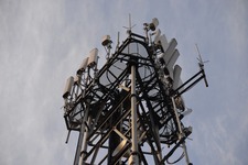 Network Consultant